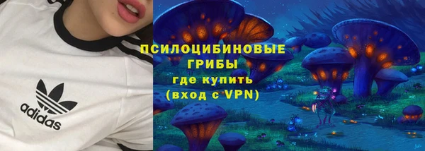 молекула духа Алексин