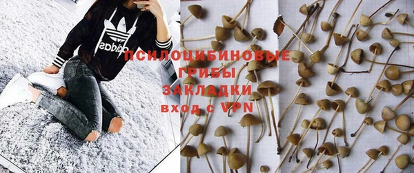 стафф Алексеевка