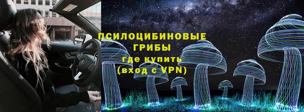 молекула духа Алексин