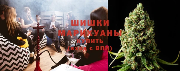 молекула духа Алексин