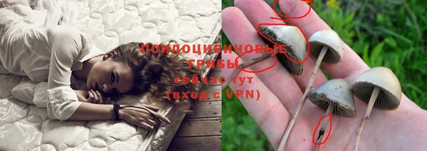 стафф Алексеевка