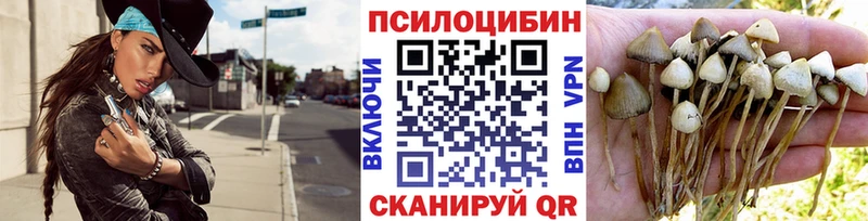 Псилоцибиновые грибы ЛСД  купить  сайты  Новая Ладога 